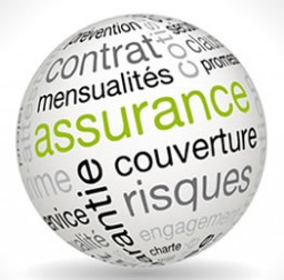 Sigma Risk, Professionnel de l'assurance en France