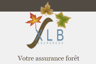 XLB Assurances, Professionnel de l'assurance en Mayenne